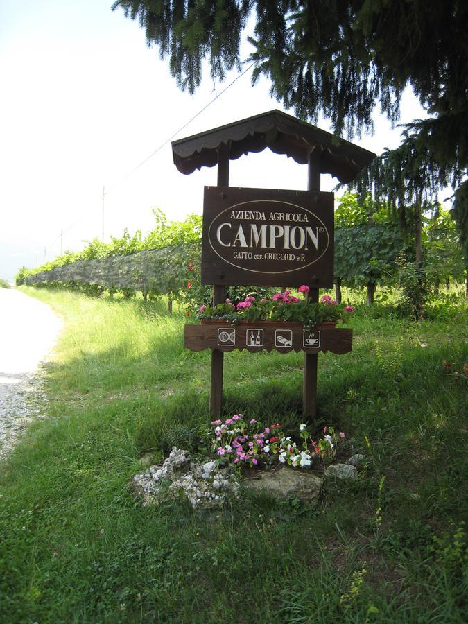 Azienda Agricola Campion Valdobbiadene Εξωτερικό φωτογραφία