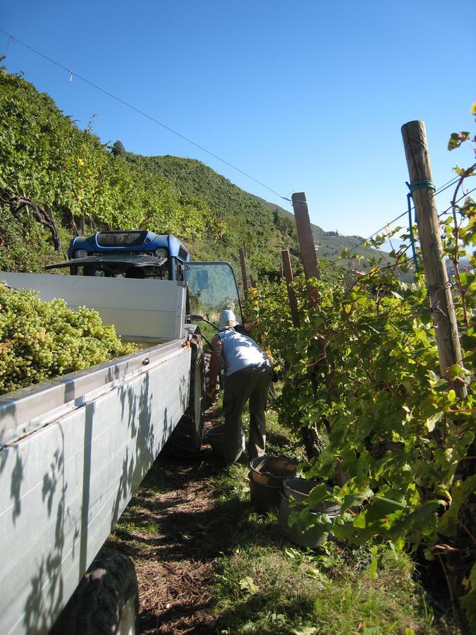 Azienda Agricola Campion Valdobbiadene Εξωτερικό φωτογραφία