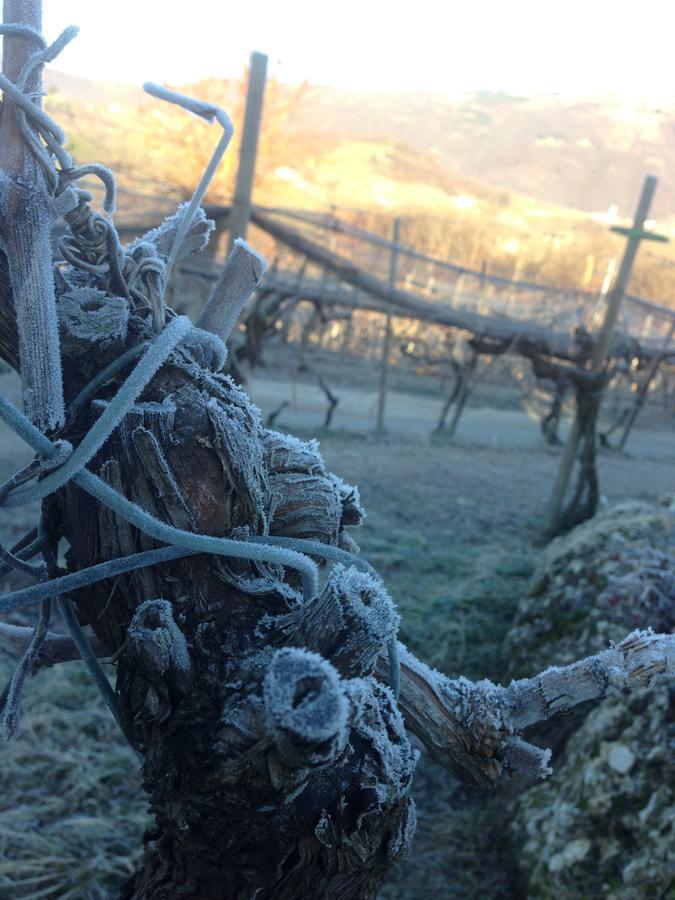 Azienda Agricola Campion Valdobbiadene Εξωτερικό φωτογραφία